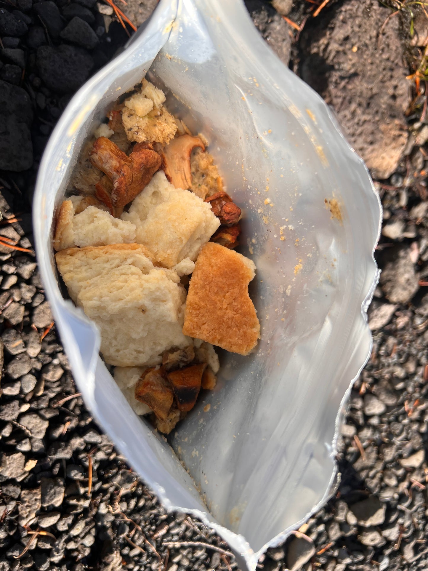 Wild Mushroom Biscuits and Gravy