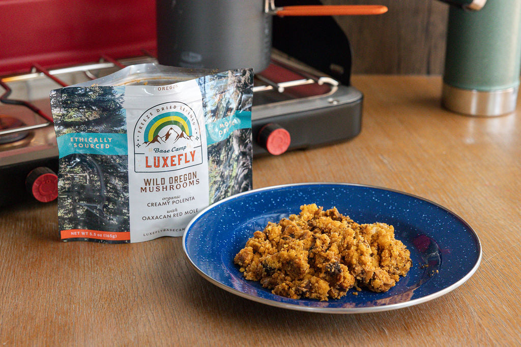 Wild Oregon Mushrooms and Creamy Polenta with red Oaxacan mole