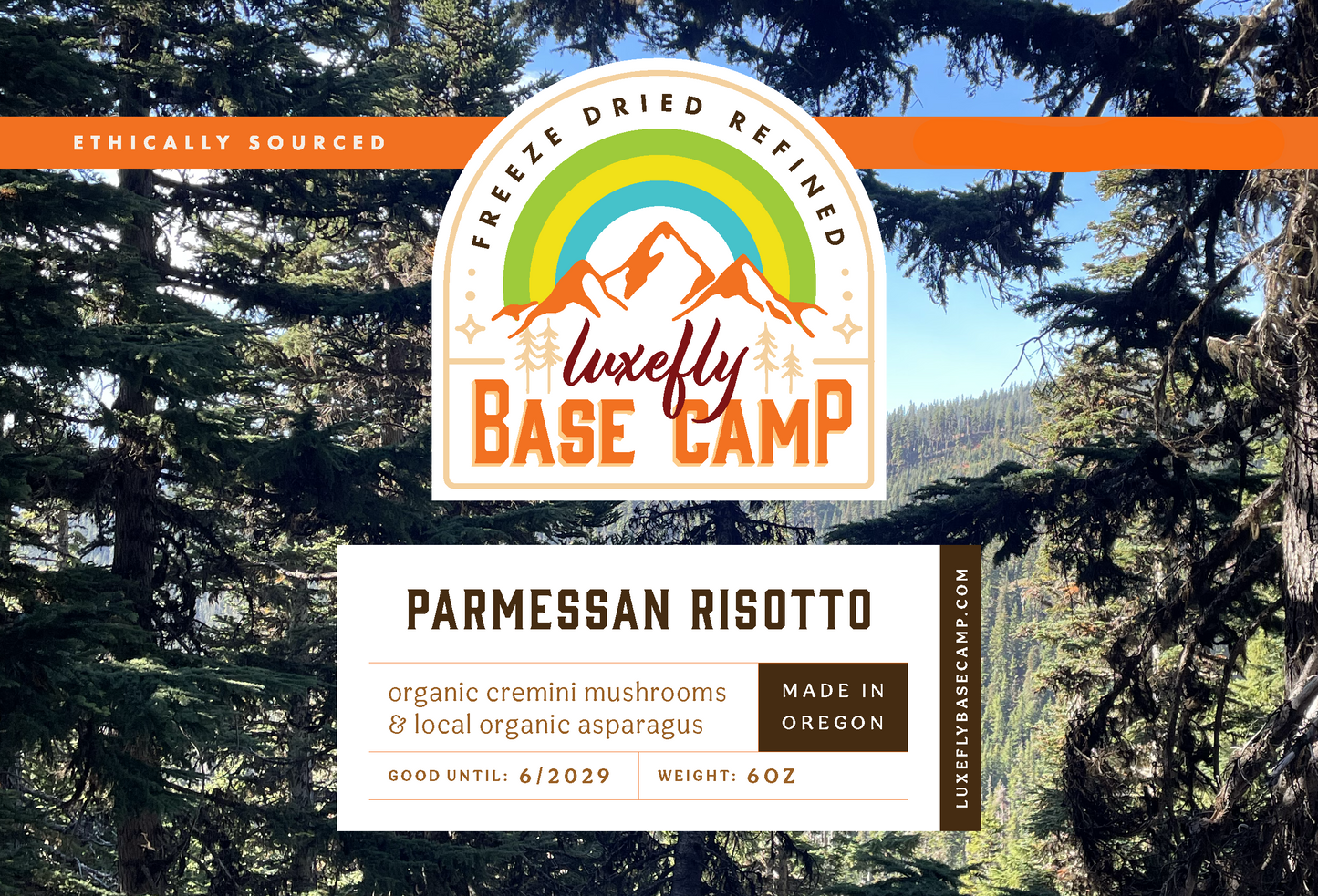 Asparagus & Mushroom Risotto with a side of parmesan