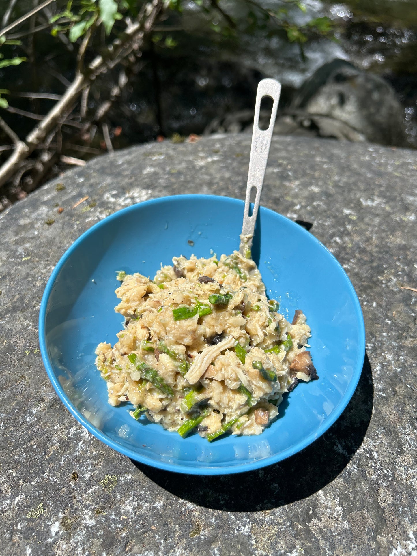 Organic Asparagus and Cremini Mushroom Risotto