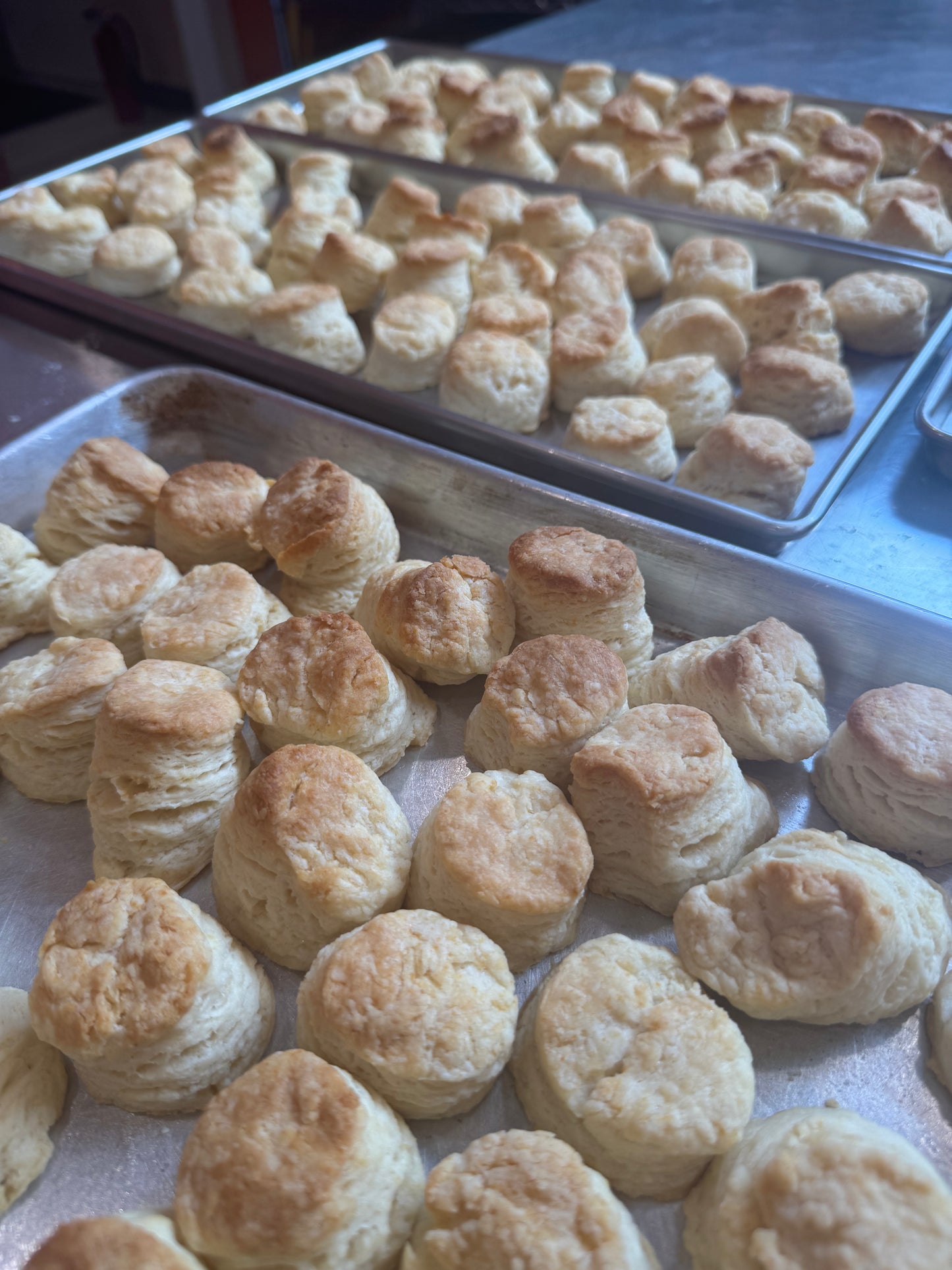 Wild Mushroom Biscuits and Gravy